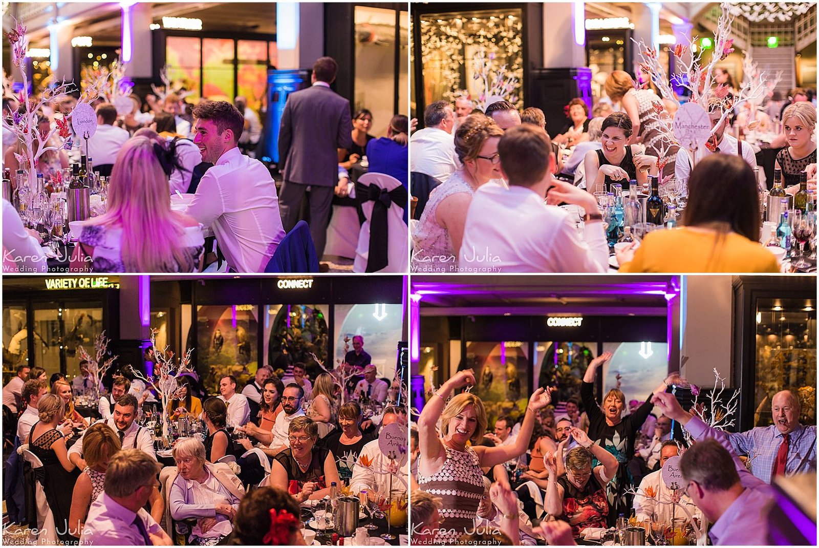 wedding speeches at Manchester Museum's Manchester gallery