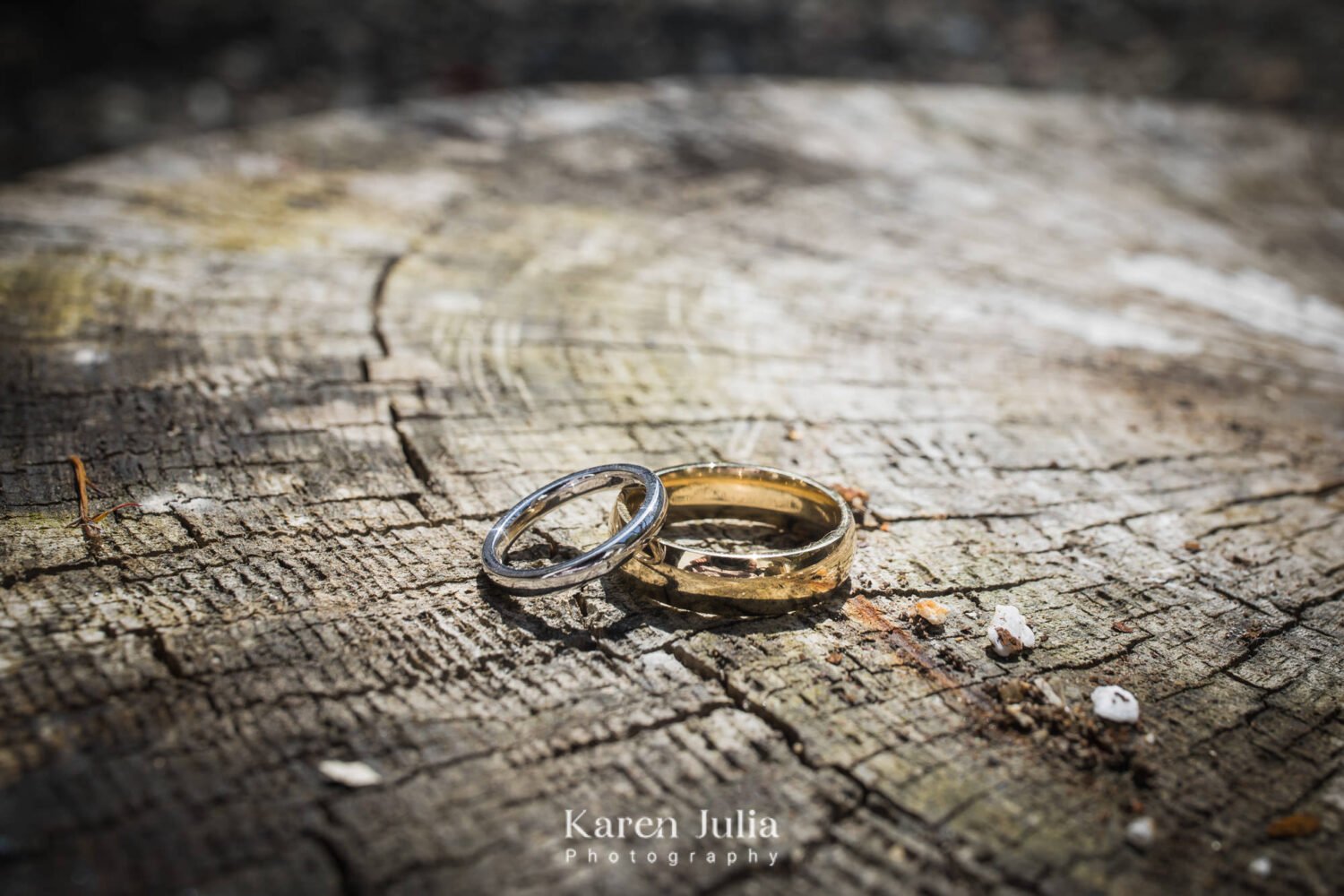 rings on a tree stump in the courtyard at Fruin Farm