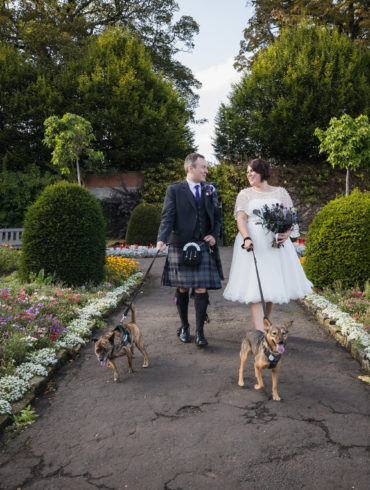 bride and groom walking in the walled garden with their dogs on their wedding day