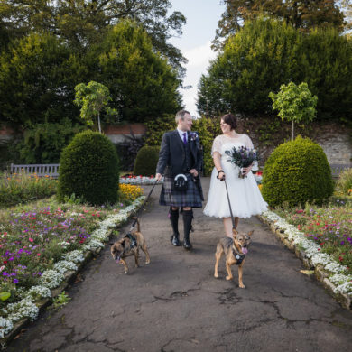 bride and groom walking in the walled garden with their dogs on their wedding day